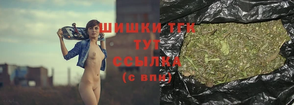стафф Армянск