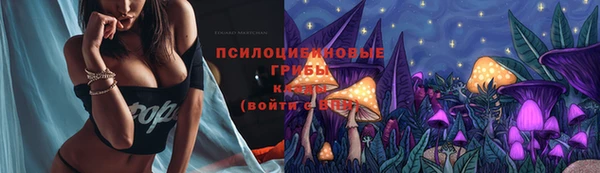 стафф Армянск