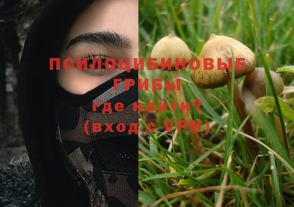 твердый Аркадак