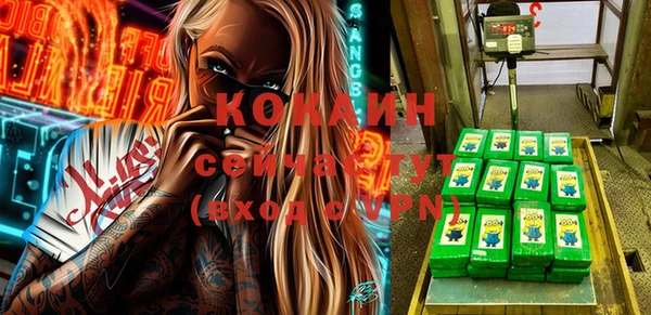 твердый Аркадак