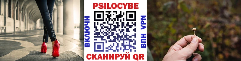 Псилоцибиновые грибы Psilocybe  Мышкин 